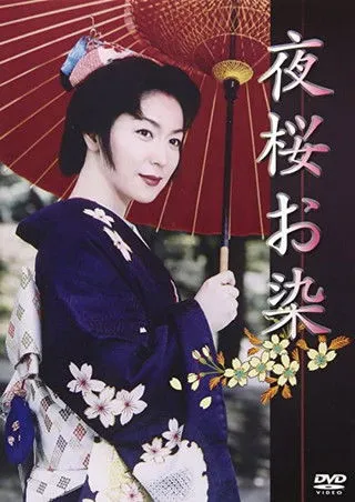 Póster de Undercover Geisha