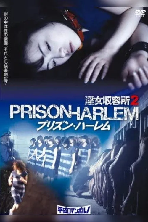 Póster de Prisión Harem 2
