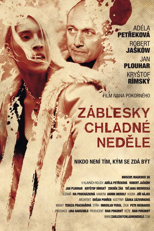 Póster de Záblesky chladné neděle