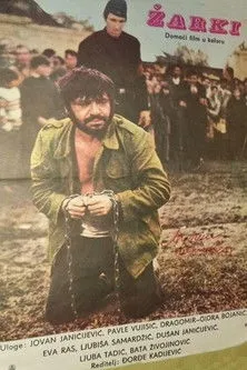Dragomir Stanojevic interpreta a  en Žarki