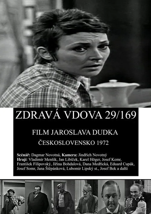 Póster de la película Zdravá vdova 29/169