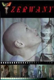 Póster de Zerwany