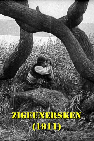 Axel Schultz interpreta a  en Zigeunersken