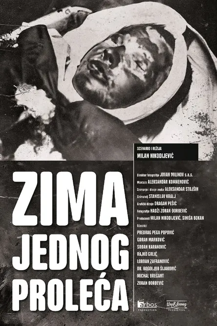 Póster de Zima jednog proleća