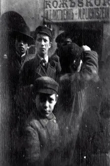 Staffan Lamm interpreta a en Zorn bakom kameran