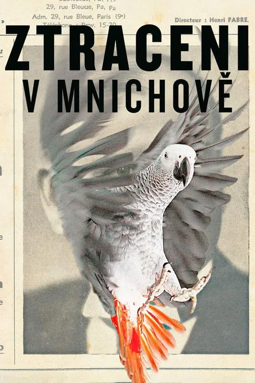 Póster de Ztraceni v Mnichově
