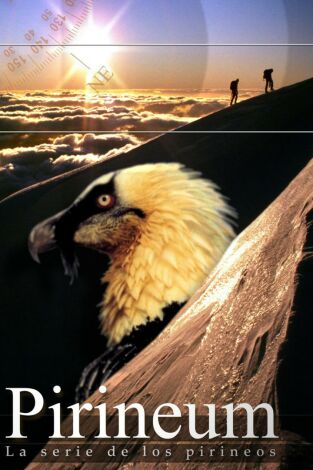 Carátula de Pirineum