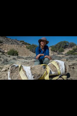 Carátula de Secretos de los dinosaurios jurásicos