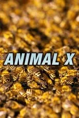 Portada de Animal X