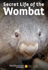 Portada de La Vida Secreta de los Wombat
