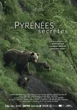 Portada de Les Pyrénées secrètes