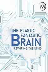 Portada de Plastic Fantastic Brain