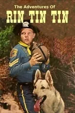 Portada de Rin Tin Tin