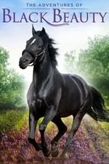 Portada de The Adventures of Black Beauty