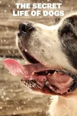 Portada de The Secret Life of Dogs