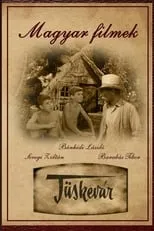 Portada de Tüskevár