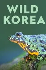 Portada de Wild Korea