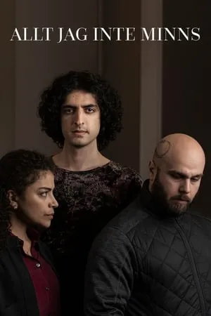 Carátula de Allt jag inte minns