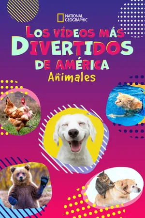 Carátula de America's Funniest Home Videos: Animal Edition