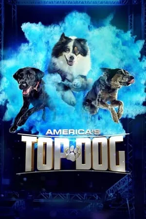 Carátula de America's Top Dog