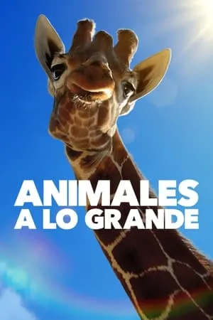 Carátula de Animales a lo grande
