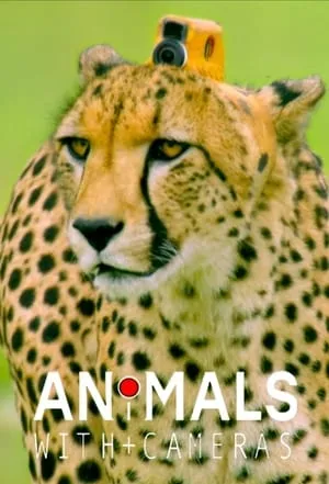 Carátula de Animales con camaras