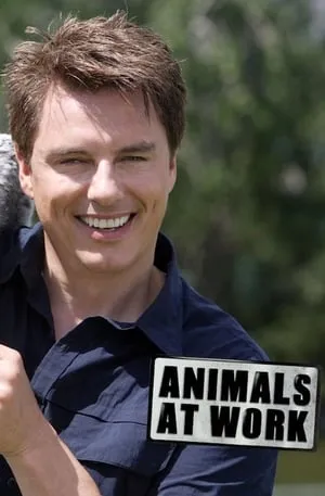Carátula de Animals at Work