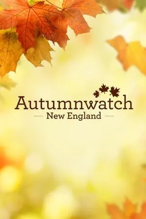 Carátula de Autumnwatch New England