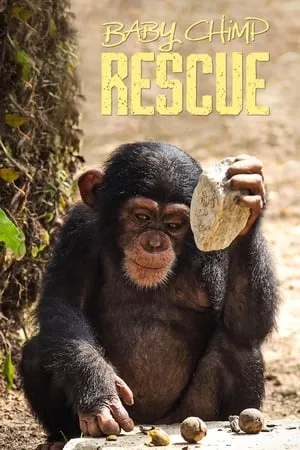 Carátula de Baby Chimp Rescue