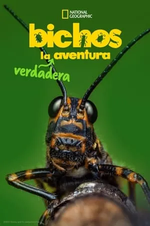 Carátula de Bichos: La verdadera aventura