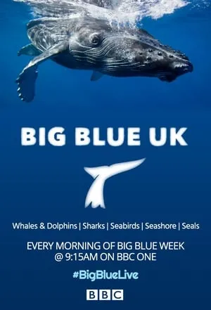 Carátula de Big Blue UK