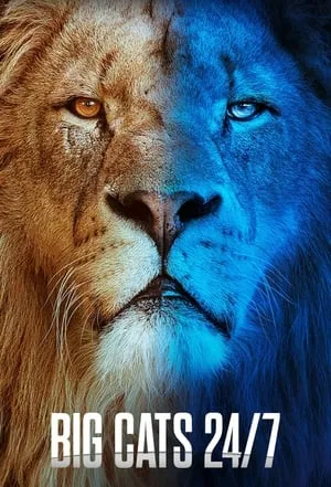 Carátula de Big Cats 24/7