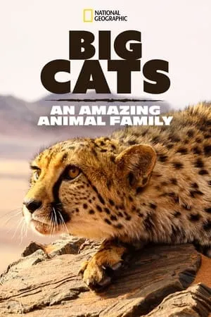 Carátula de Big Cats: An Amazing Animal Family