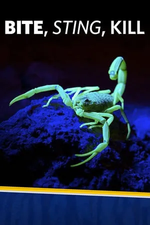 Carátula de Bite, Sting, Kill