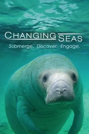 Carátula de Changing Seas