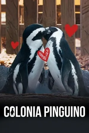 Carátula de Colonia Pingüino