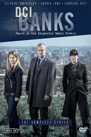 Carátula de DCI Banks