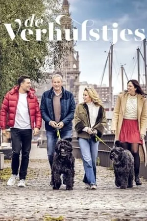 Carátula de De Verhulstjes