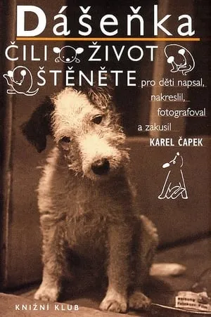 Carátula de Dášeňka