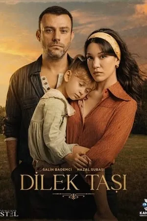 Carátula de Dilek Taşı