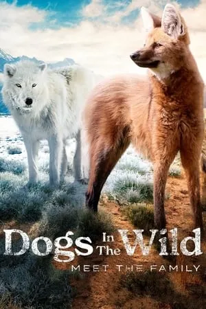 Carátula de Dogs in the Wild: Meet the Family