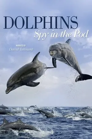 Carátula de Dolphins: Spy in the Pod