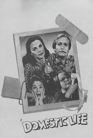 Carátula de Domestic Life