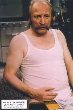 Carátula de Ein echter Wiener geht nicht unter