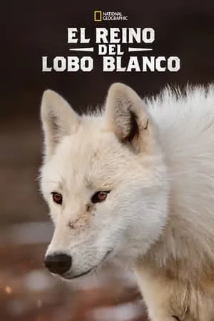 Carátula de El Reino de el Lobo Blanco
