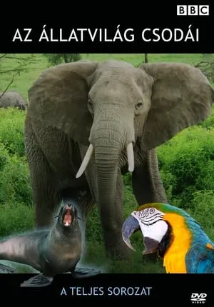 Carátula de Extraordinary Animals