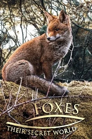 Carátula de Foxes: Their Secret World