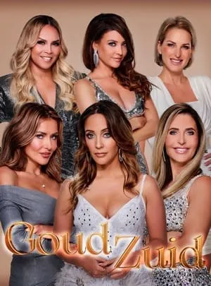 Carátula de Goud Zuid