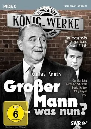 Carátula de Großer Mann, was nun?