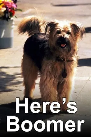Carátula de Here's Boomer